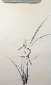 每日一画–兰花-没骨画论坛-国画-知汇课堂